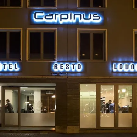 Hotel Carpinus 3*